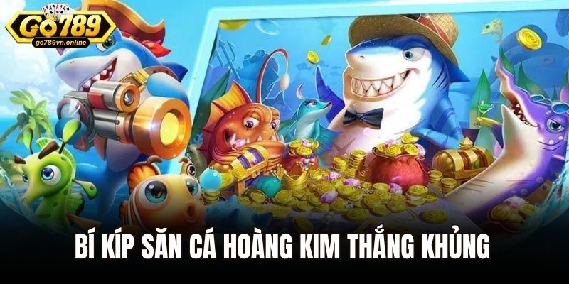 Bí kíp săn cá hoàng kim thắng khủng từ các cao thủ