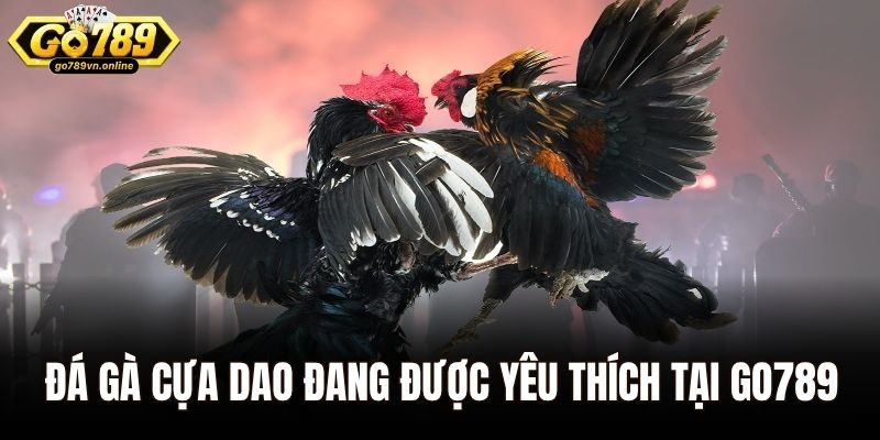 Trường Gà Savan – Điểm Hẹn Đầy Kịch Tính Tại Go789 3 Đá gà cựa dao đang được yêu thích tại Go789