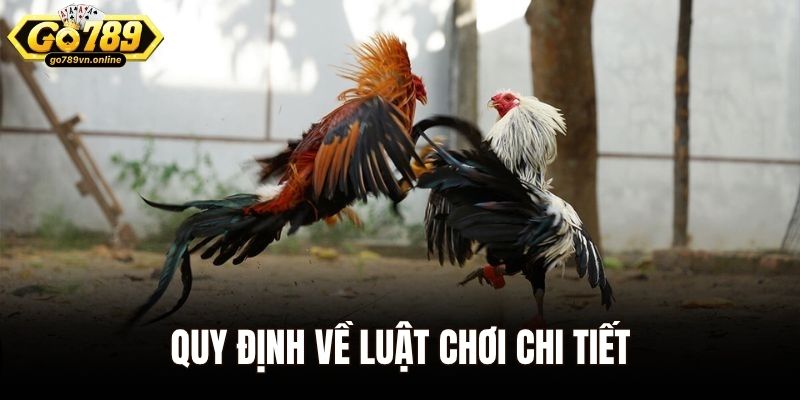 Đá Gà Cựa Dao - Trận Đấu Cá Cược Kịch Tính Nhất Châu Á 2 Quy định về luật chơi chi tiết